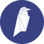 Ravencoin RVN 图标