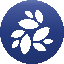 NKN NKN 图标