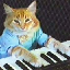 Keyboard Cat KEYCAT 图标