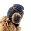 Ski Mask Dog SKI 图标