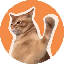 CatSlap SLAP 图标