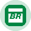 Petrobras Tokenized Stock (Ondo) PBRon 图标