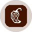 Chipotle Tokenized Stock (Ondo) CMGon 图标