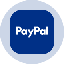 PayPal Tokenized Stock (Ondo) PYPLon 图标