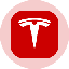Tesla Tokenized Stock (Ondo) TSLAon 图标