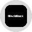 Blackrock, Inc. Tokenized Stock (Ondo) BLKon 图标