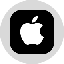 Apple Tokenized Stock (Ondo) AAPLon 图标