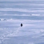 Nietzschean Penguin PENGUIN 图标
