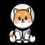 Asteroid Shiba ASTEROID 图标