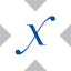 Direxion Semiconductor Bull 3X tokenized ETF (xStock) SOXLx 图标