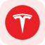 Tesla Tokenized Stock (Reality) rTSLA 图标