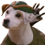 WISHBONE WISHBONE 图标