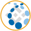 Credo Technology Tokenized bStocks CRDOB 图标