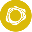 PAX Gold PAXG 图标