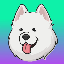 Samoyedcoin SAMO 图标